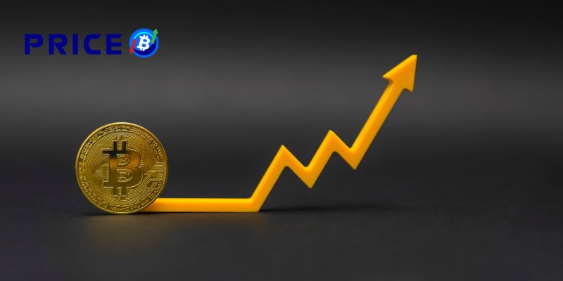 Giá bitcoin hoàn toàn dựa trên cung và cầu thị trường